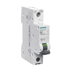 The circuit breaker SIEMENS B20 1F.